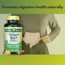 ginger-root-550mg-organic-supplements-10-2.jpg