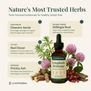 lymphatic-drainage-drops-for-bloat-relie-3.jpg
