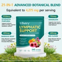 lymphatic-drainage-supplement-with-21-in-2.jpg