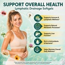 lymphatic-drainage-supplements-4275mg-he-4.jpg