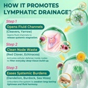 liposomal-lymphatic-drainage-supplements-4.jpg