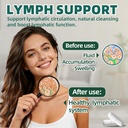 lymphatic-drainage-capsules-240-capsules-5.jpg