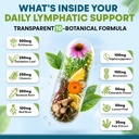 lymphatic-drainage-supplements-lymph-sys-3.jpg