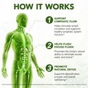 lymphatic-drainage-supplement-90-capsule-4.jpg