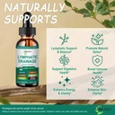 organic-lymphatic-drainage-drops-17-in-1-2.jpg