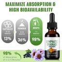 lymphatic-drainage-drops-herbal-lymph-sy-6.jpg