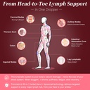 liposomal-lymphatic-drainage-drops-30-he-6.jpg