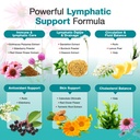lymphatic-drainage-supplements-natural-h-3.jpg