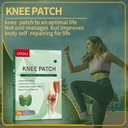 36pcs-knee-patches-wormwood-extract-stic-2.jpg