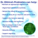 essential-formulas-dr-ohhira-s-probiotic-3.jpg
