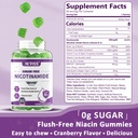 sugar-free-nicotinamide-500mg-gummies-fl-2.jpg