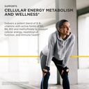 integrative-therapeutics-active-b-comple-5.jpg