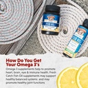 barleans-omega-3-fish-oil-liquid-supplem-5.jpg