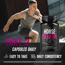 horse-gelatin-capsules-official-horsegel-4.jpg