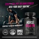 horse-gelatin-capsules-official-horsegel-5.jpg