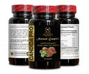 candida-pro-complex-vitamin-for-gut-heal-4.jpg
