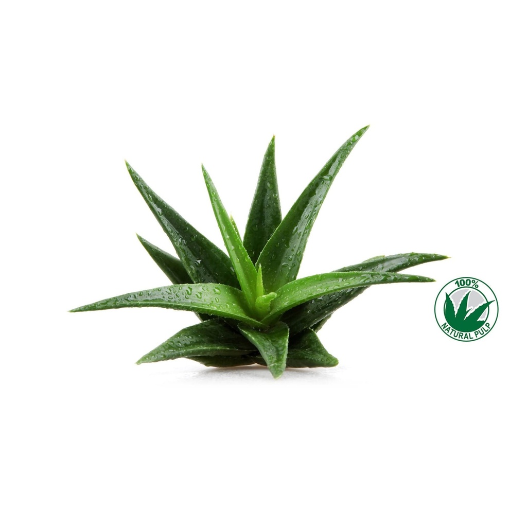 frela-100-pure-organic-aloe-vera-pulp-12-6.jpg