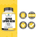 american-standard-supplements-alpha-lipo-5.jpg