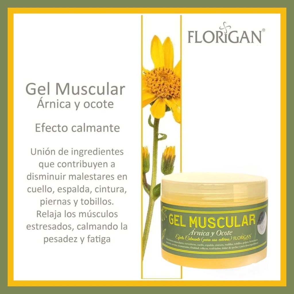 arnica-and-ocote-muscle-gel-350grs-6.jpg