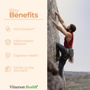 vimerson-health-quercetin-with-bromelain-5.jpg
