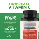 forestleaf-immune-support-supplement-wit-2.jpg