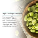 nutricology-quercetin-300-supports-mast--4.jpg