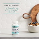 nutricology-quercetin-300-supports-mast--6.jpg