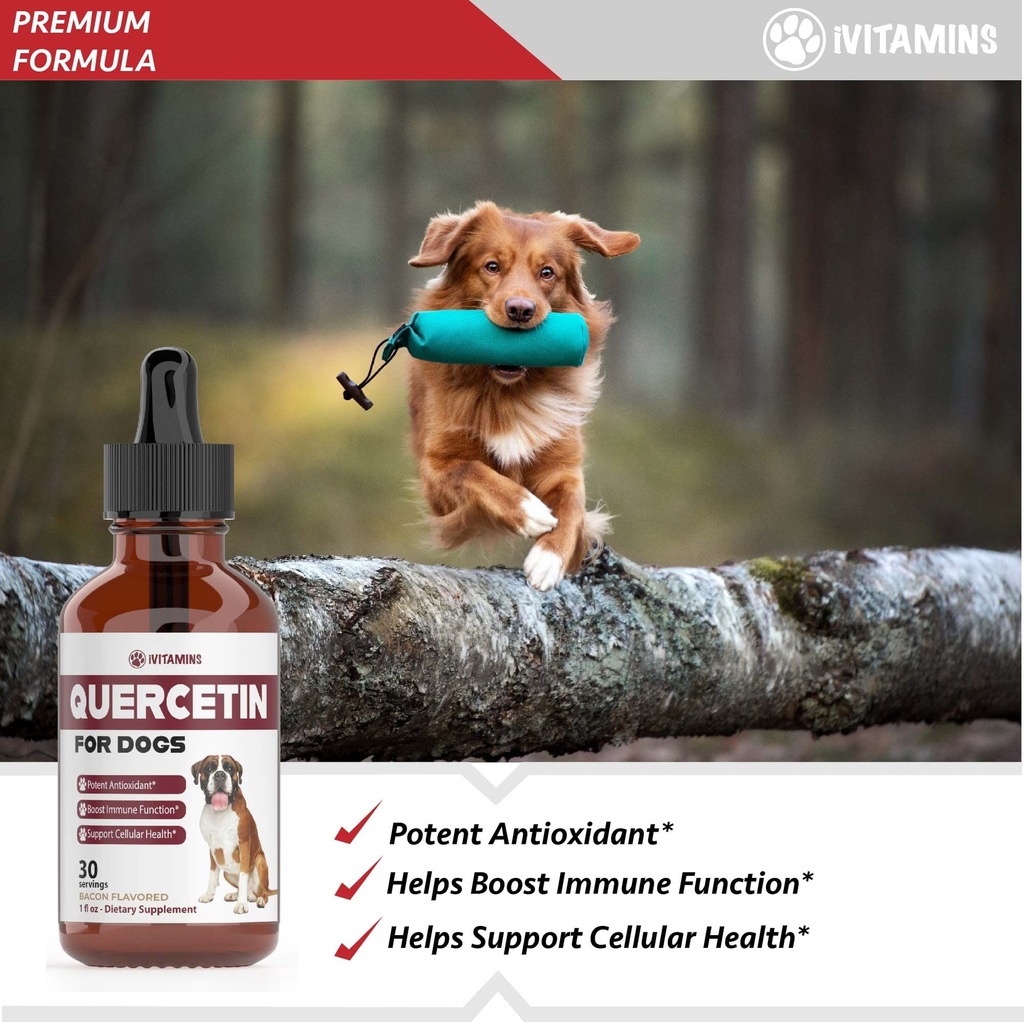 quercetin-for-dogs-quercetin-for-dogs-al-2.jpg