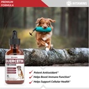 quercetin-for-dogs-quercetin-for-dogs-al-2.jpg