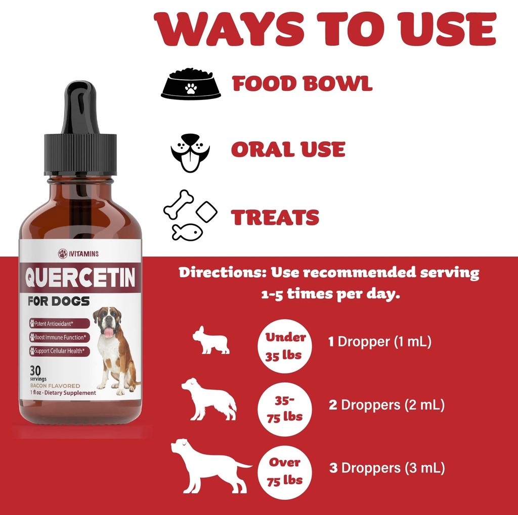 quercetin-for-dogs-quercetin-for-dogs-al-4.jpg