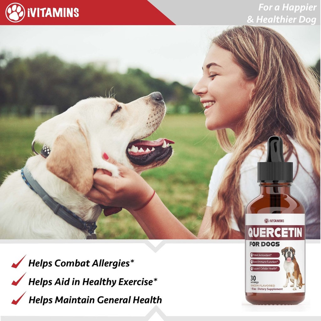 quercetin-for-dogs-quercetin-for-dogs-al-3.jpg
