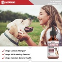quercetin-for-dogs-quercetin-for-dogs-al-3.jpg