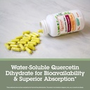 quantum-health-quercetin-500mg-powerful--6.jpg