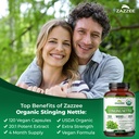 zazzee-usda-organic-stinging-nettle-leaf-4.jpg