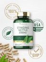 carlyle-stinging-nettle-leaf-extract-sup-5.jpg