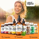 wild-organic-stinging-nettle-leaf-extrac-5.jpg