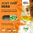 wild-organic-stinging-nettle-leaf-capsul-5.jpg