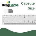 real-herbs-stinging-nettle-root-extract--6.jpg