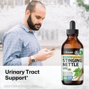 bio-krauter-stinging-nettle-for-seasonal-2.jpg
