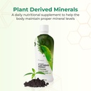 youngevity-plant-derived-minerals-multi--2.jpg