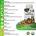 organic-superfood-greens-fruits-and-vegg-4.jpg