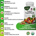 organic-superfood-greens-fruits-and-vegg-5.jpg