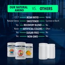 nf-sports-natural-amino-2-1-1-bcaas-amin-4.jpg