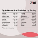 zint-collagen-peptides-powder-paleo-keto-6.jpg