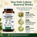 age-renewal-complex-senescent-cell-remov-4.jpg