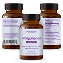 pendulum-polyphenol-booster-antioxidant--2.jpg