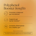 pendulum-polyphenol-booster-antioxidant--3.jpg