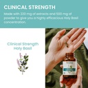 himalaya-holy-basil-capsules-herbal-adre-6.jpg