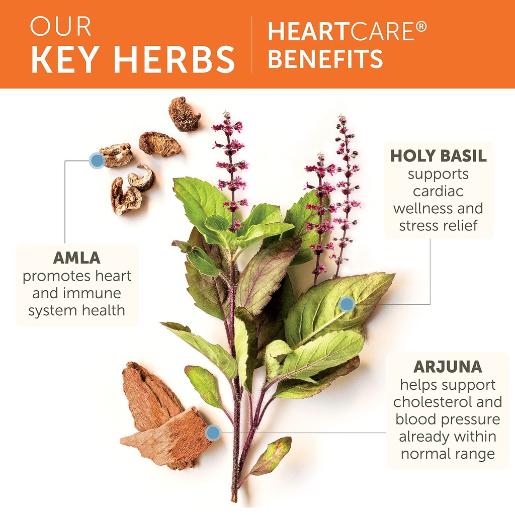 himalaya-heartcare-herbal-heart-health-s-4.jpg