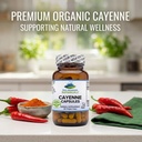 pure-mountain-botanicals-cayenne-pepper--4.jpg